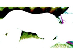 naturemorte_i 